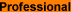 professional.GIF (452 bytes)